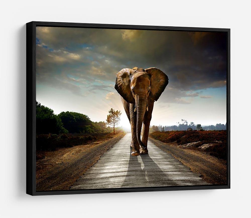 Single elephant walking in a road HD Metal Print - Canvas Art Rocks - 6