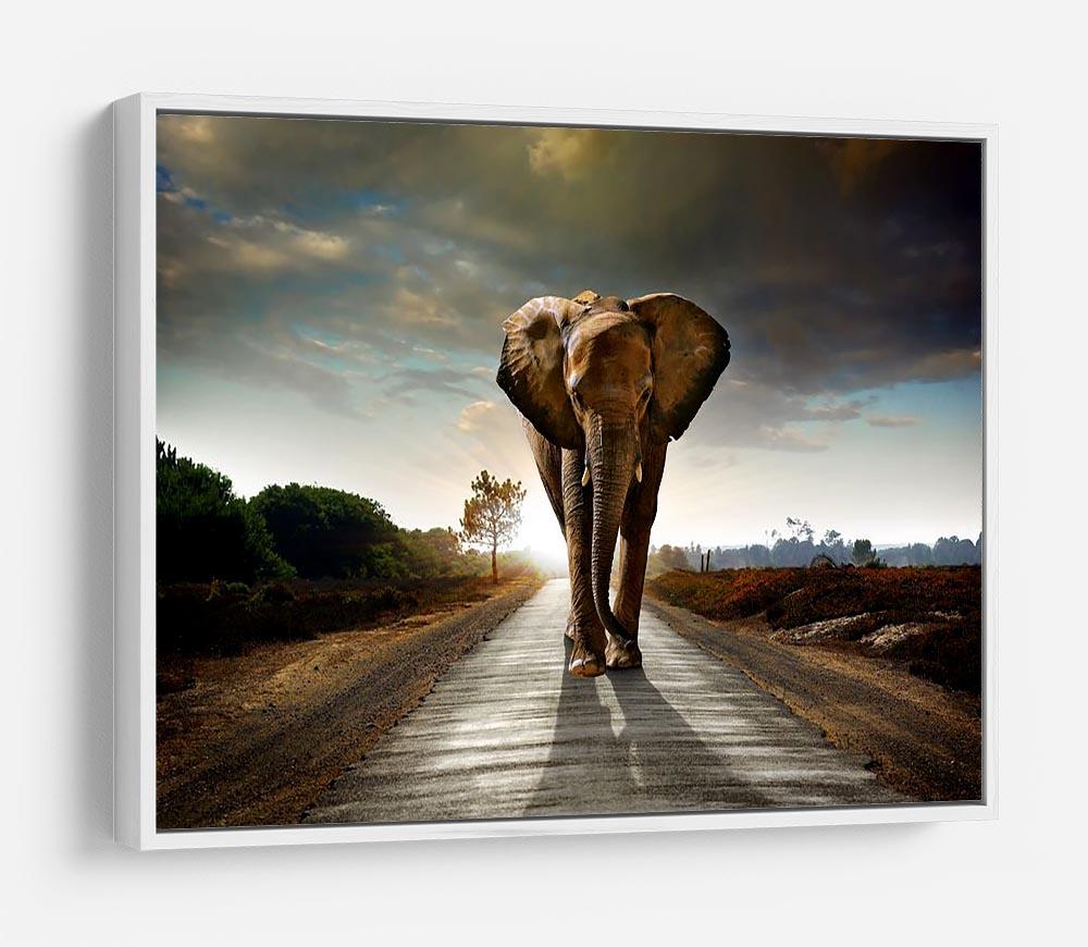 Single elephant walking in a road HD Metal Print - Canvas Art Rocks - 7