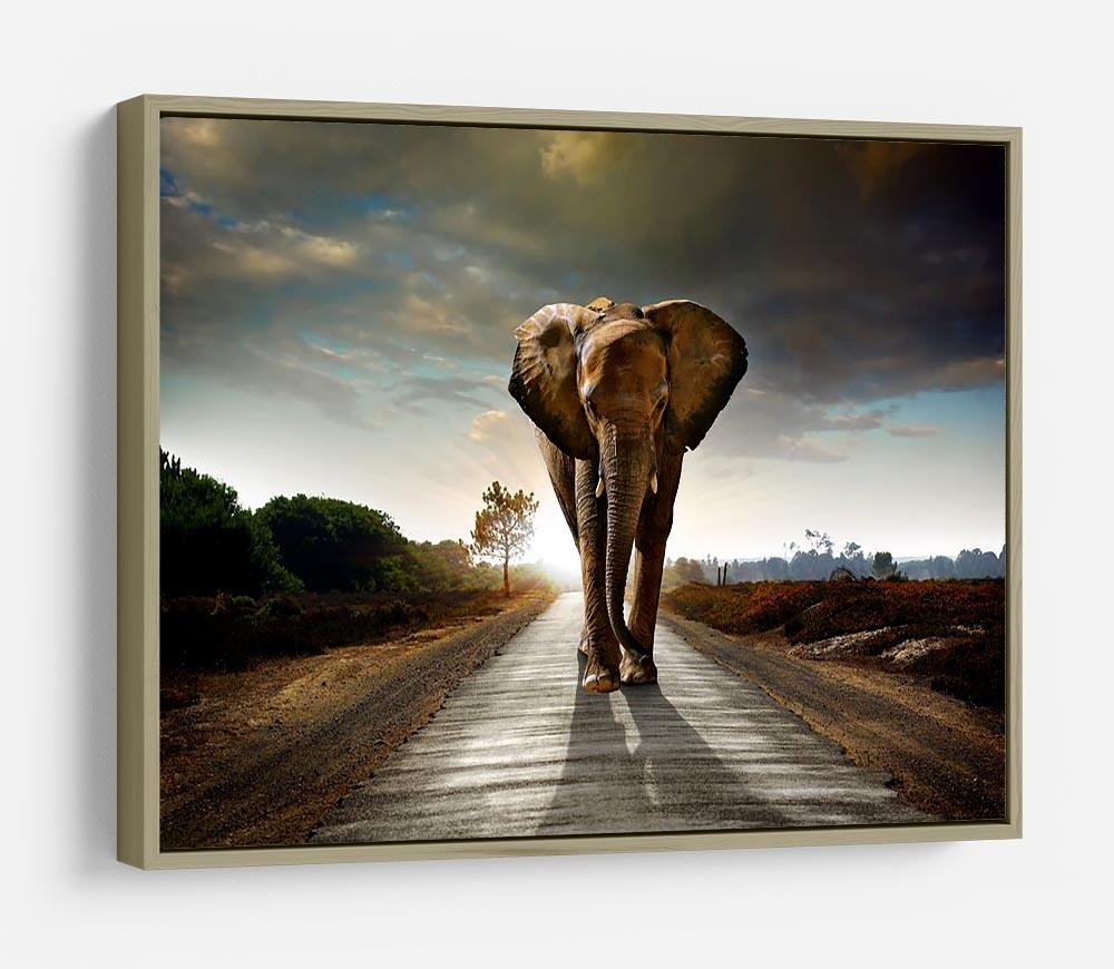 Single elephant walking in a road HD Metal Print - Canvas Art Rocks - 8