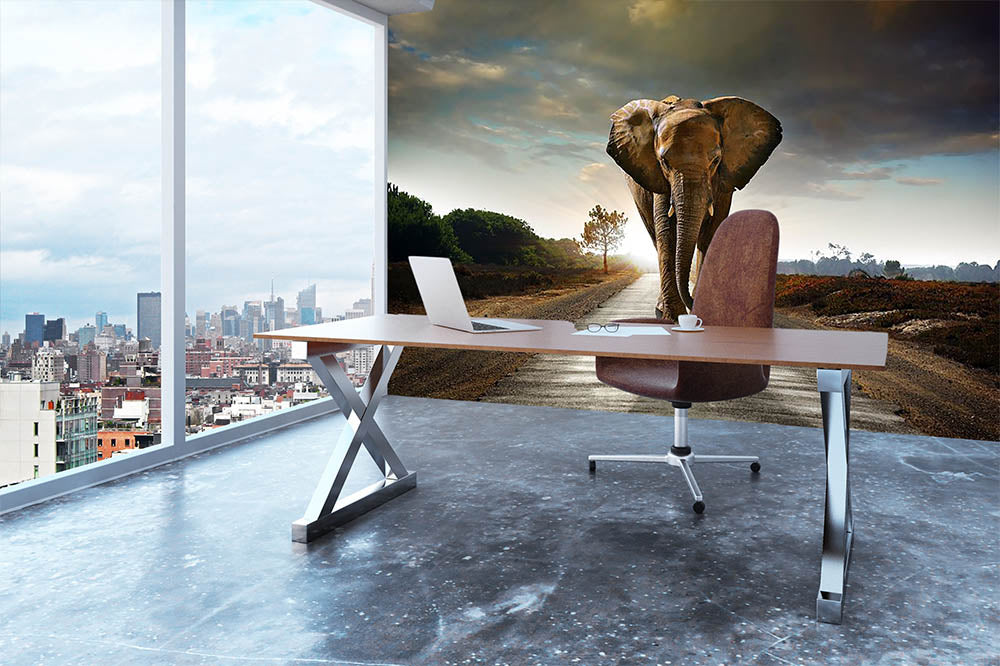 Single elephant walking in a road Wall Mural Wallpaper - Canvas Art Rocks - 3