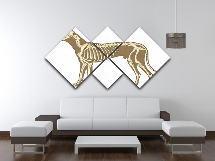 Skeleton of dog section with bones x ray 4 Square Multi Panel Canvas - Canvas Art Rocks - 3