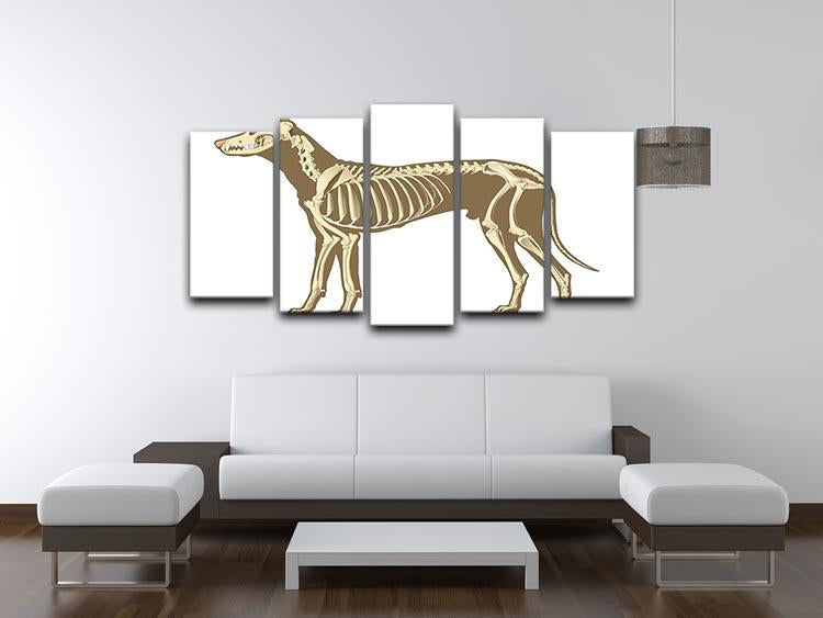 Skeleton of dog section with bones x ray 5 Split Panel Canvas - Canvas Art Rocks - 3