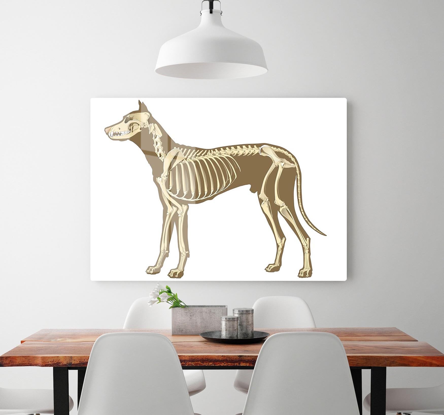 Skeleton of dog section with bones x ray HD Metal Print - Canvas Art Rocks - 2