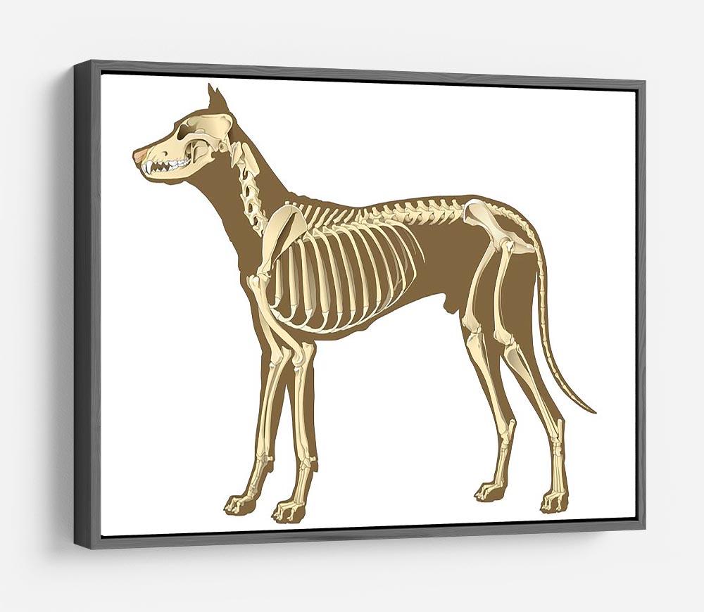 Skeleton of dog section with bones x ray HD Metal Print - Canvas Art Rocks - 9