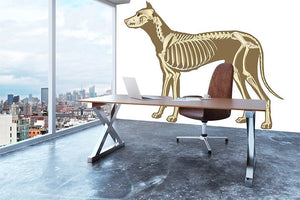 Skeleton of dog section with bones x ray Wall Mural Wallpaper - Canvas Art Rocks - 3