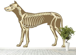 Skeleton of dog section with bones x ray Wall Mural Wallpaper - Canvas Art Rocks - 4