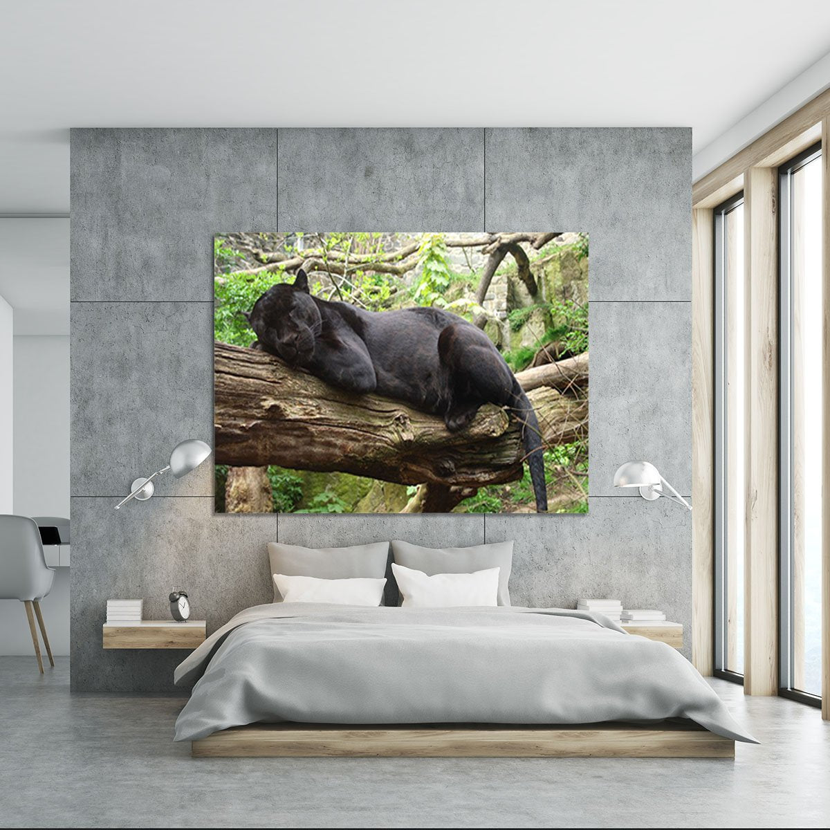 Sleeping black jaguar Canvas Print or Poster