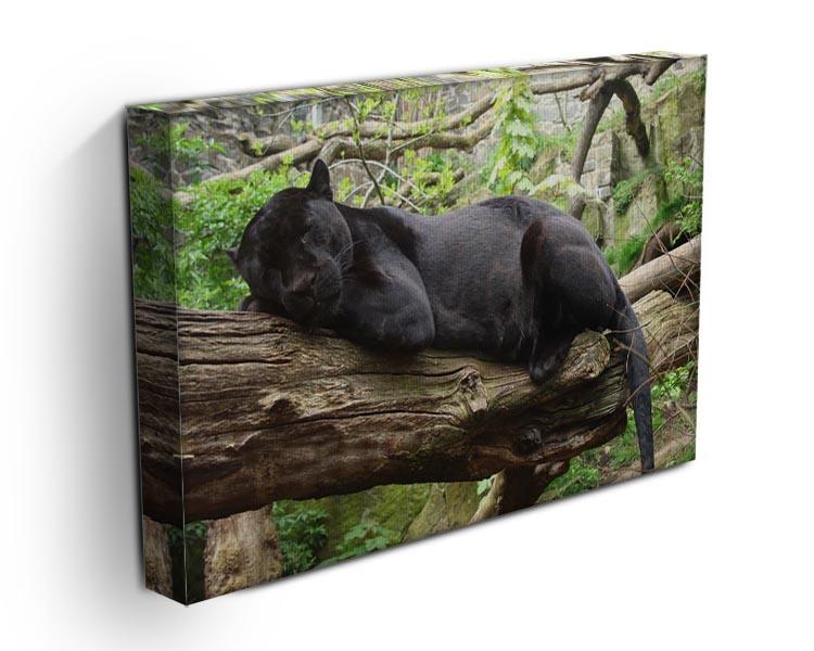 Sleeping black jaguar Canvas Print or Poster - Canvas Art Rocks - 3