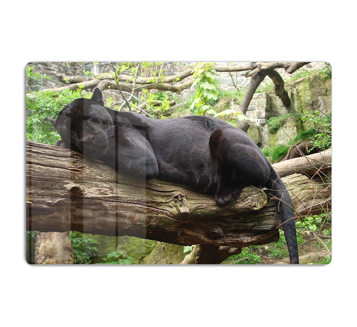 Sleeping black jaguar HD Metal Print - Canvas Art Rocks - 1