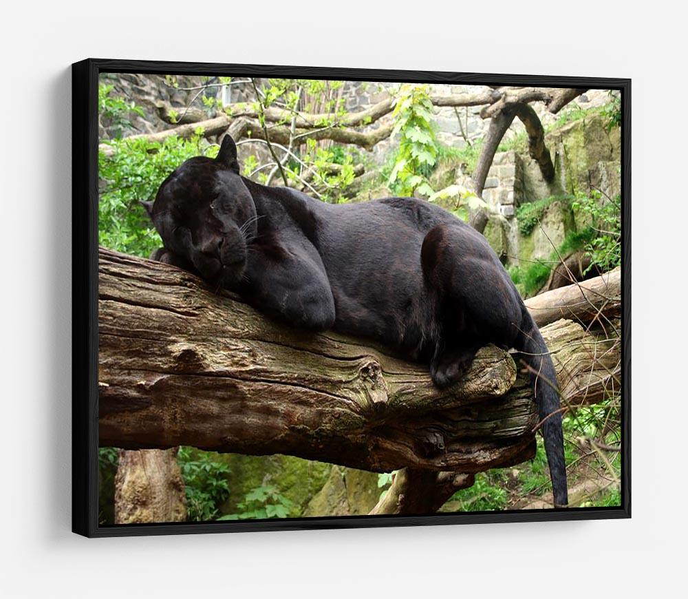 Sleeping black jaguar HD Metal Print - Canvas Art Rocks - 6