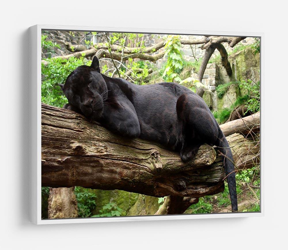 Sleeping black jaguar HD Metal Print - Canvas Art Rocks - 7