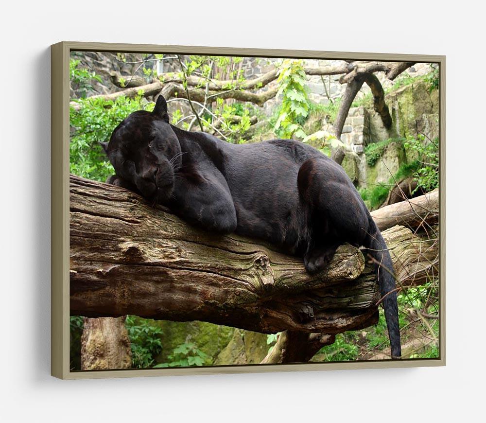 Sleeping black jaguar HD Metal Print - Canvas Art Rocks - 8
