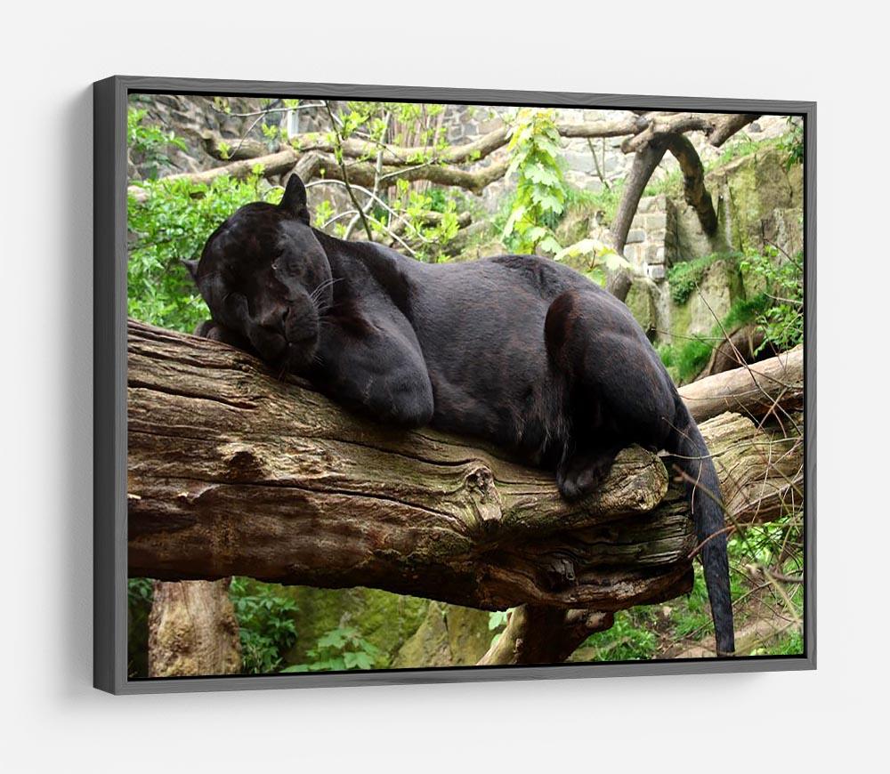 Sleeping black jaguar HD Metal Print - Canvas Art Rocks - 9