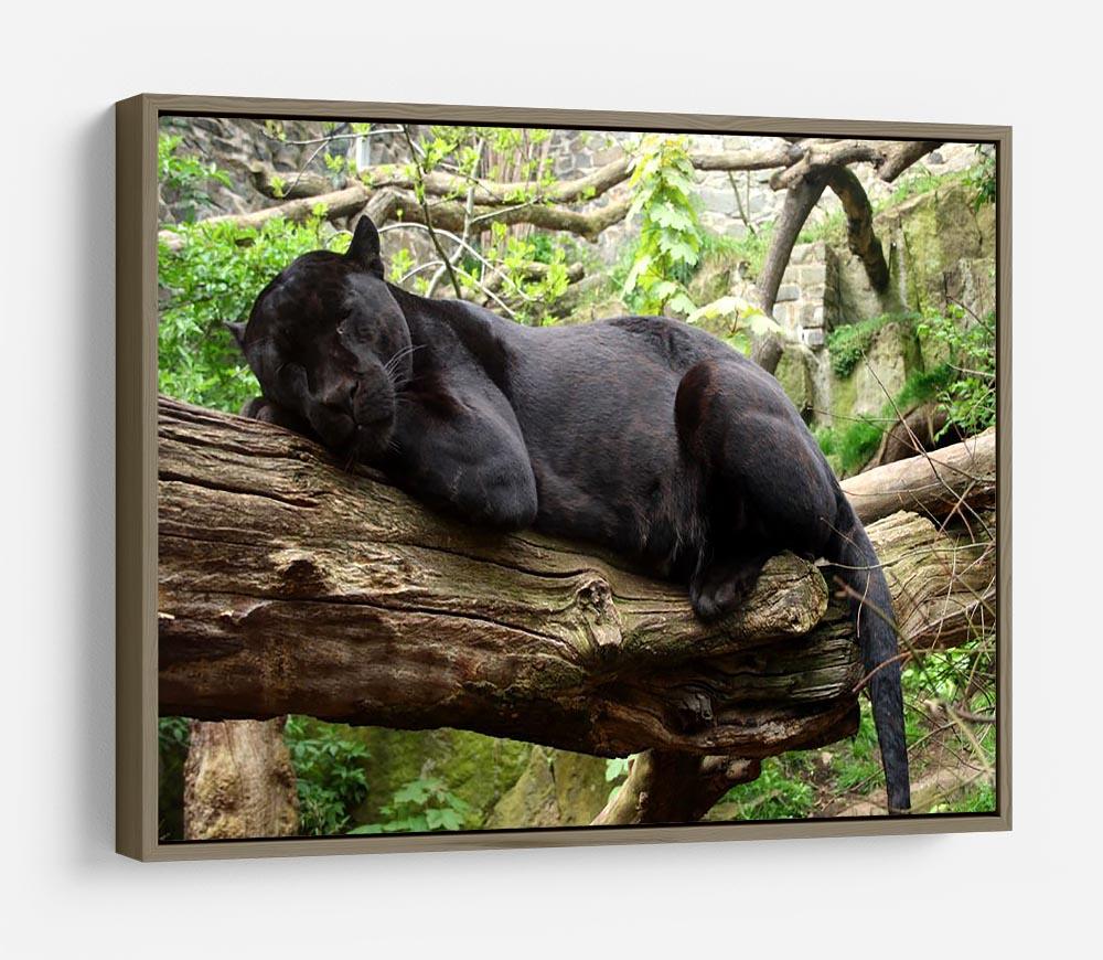 Sleeping black jaguar HD Metal Print - Canvas Art Rocks - 10