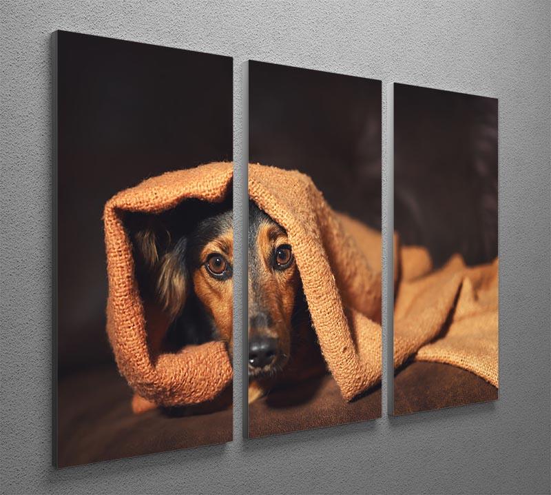 Small black and brown dog hiding under orange blanket 3 Split Panel Canvas Print - Canvas Art Rocks - 2