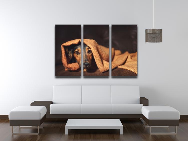 Small black and brown dog hiding under orange blanket 3 Split Panel Canvas Print - Canvas Art Rocks - 3