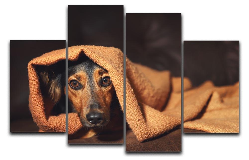 Small black and brown dog hiding under orange blanket 4 Split Panel Canvas - Canvas Art Rocks - 1