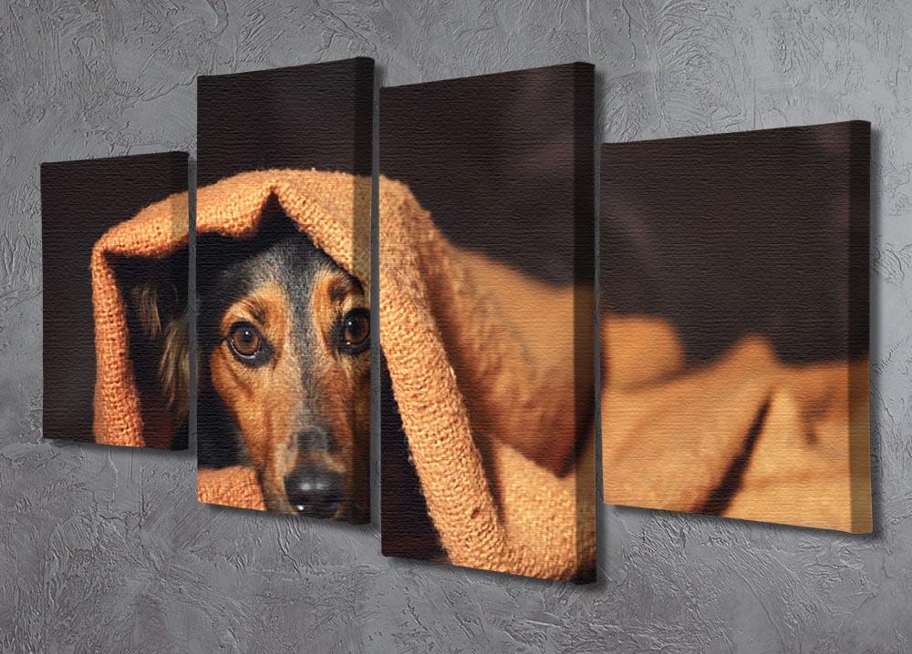Small black and brown dog hiding under orange blanket 4 Split Panel Canvas - Canvas Art Rocks - 2