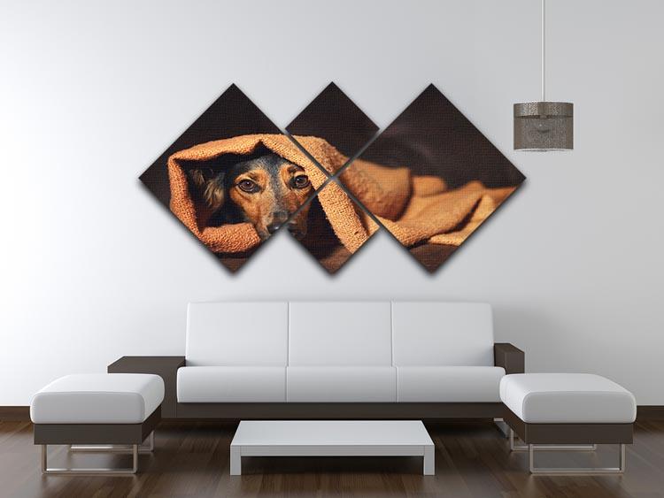 Small black and brown dog hiding under orange blanket 4 Square Multi Panel Canvas - Canvas Art Rocks - 3