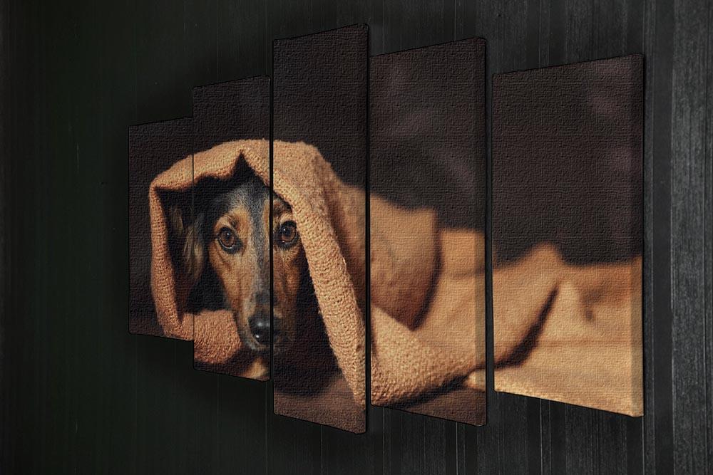 Small black and brown dog hiding under orange blanket 5 Split Panel Canvas - Canvas Art Rocks - 2