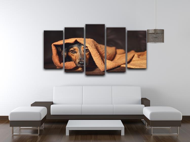 Small black and brown dog hiding under orange blanket 5 Split Panel Canvas - Canvas Art Rocks - 3