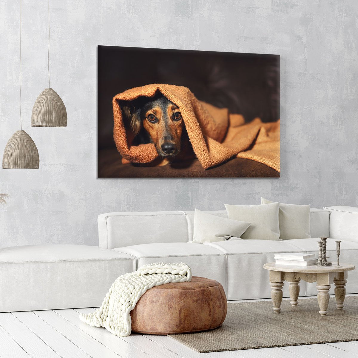 Small black and brown dog hiding under orange blanket Canvas Print or Poster