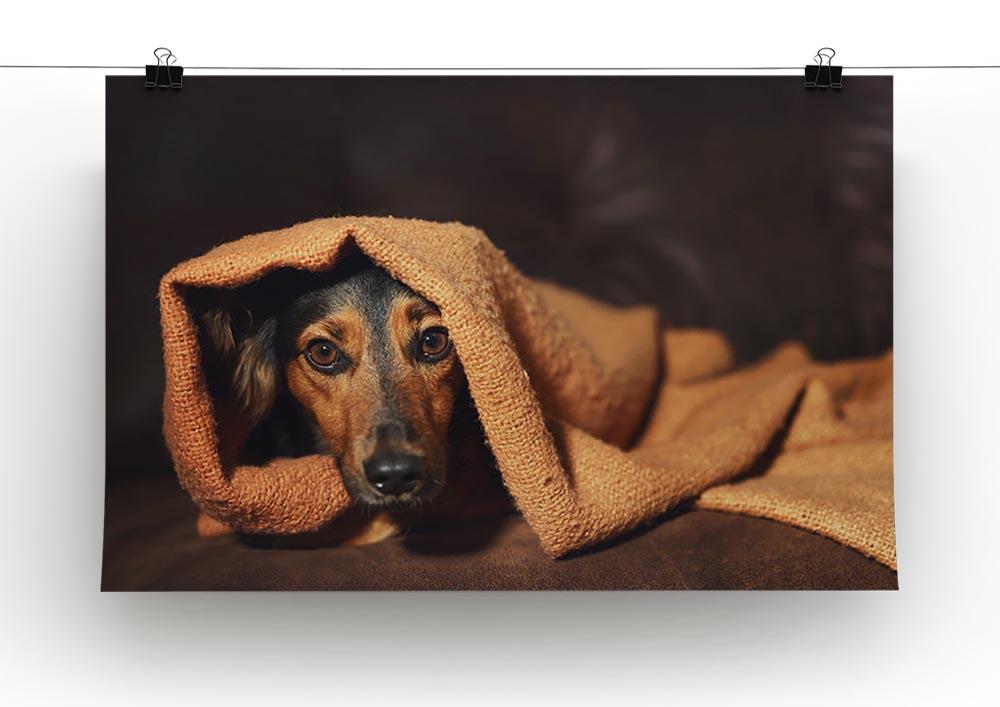 Small black and brown dog hiding under orange blanket Canvas Print or Poster - Canvas Art Rocks - 2