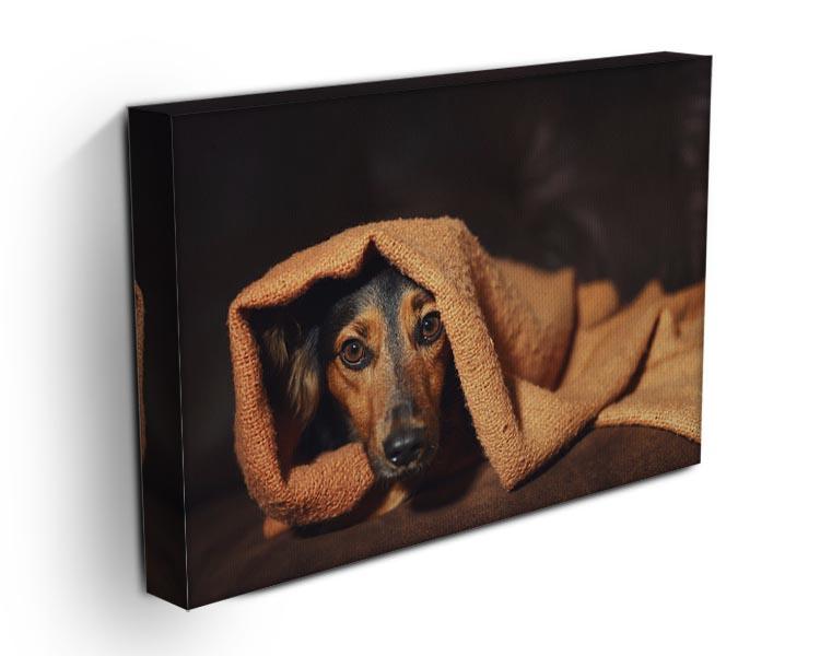 Small black and brown dog hiding under orange blanket Canvas Print or Poster - Canvas Art Rocks - 3