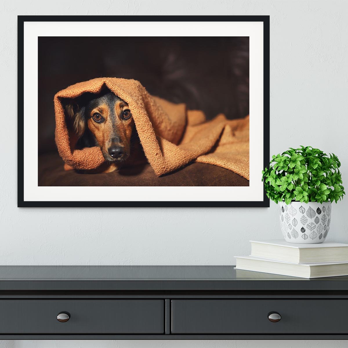 Small black and brown dog hiding under orange blanket Framed Print - Canvas Art Rocks - 1