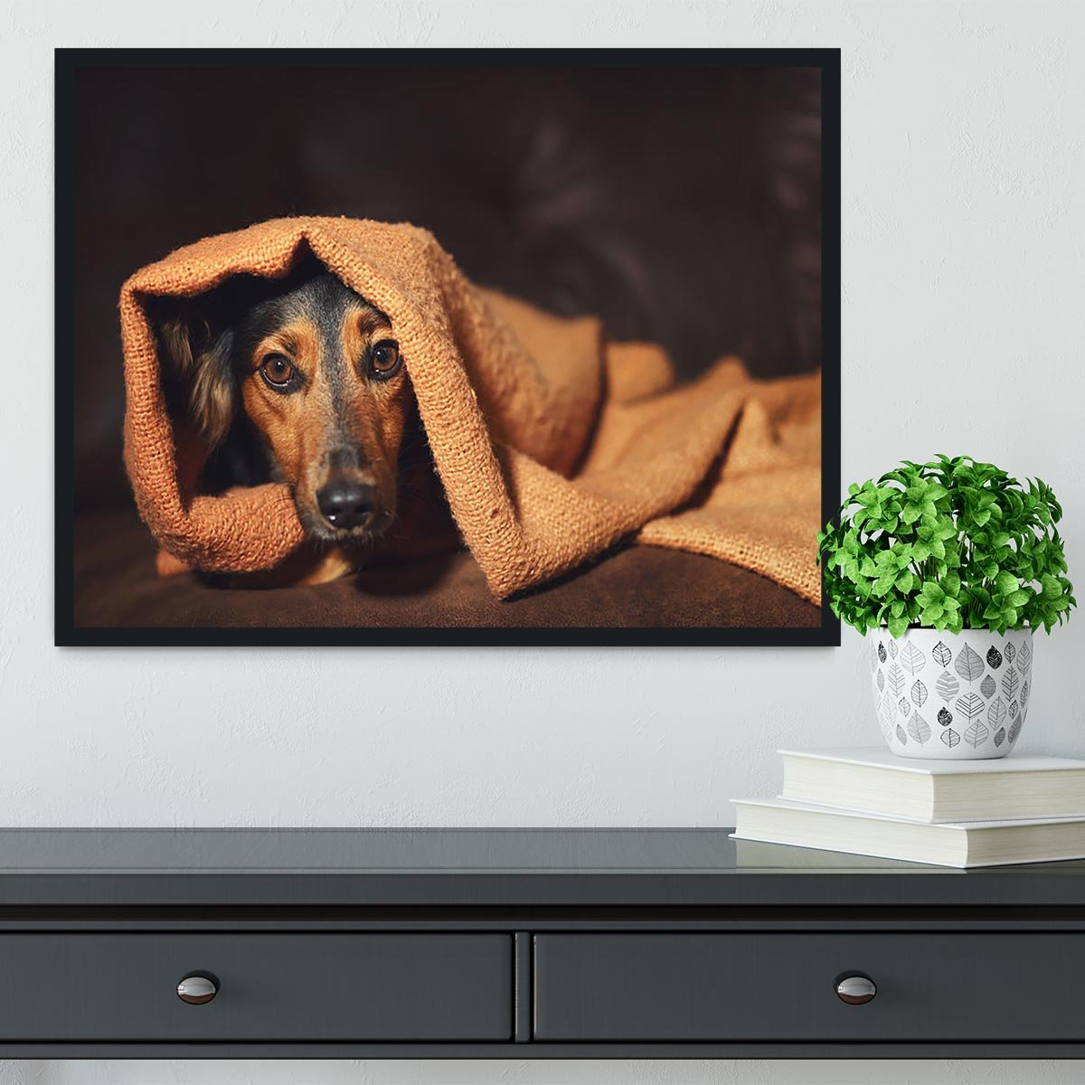 Small black and brown dog hiding under orange blanket Framed Print - Canvas Art Rocks - 2