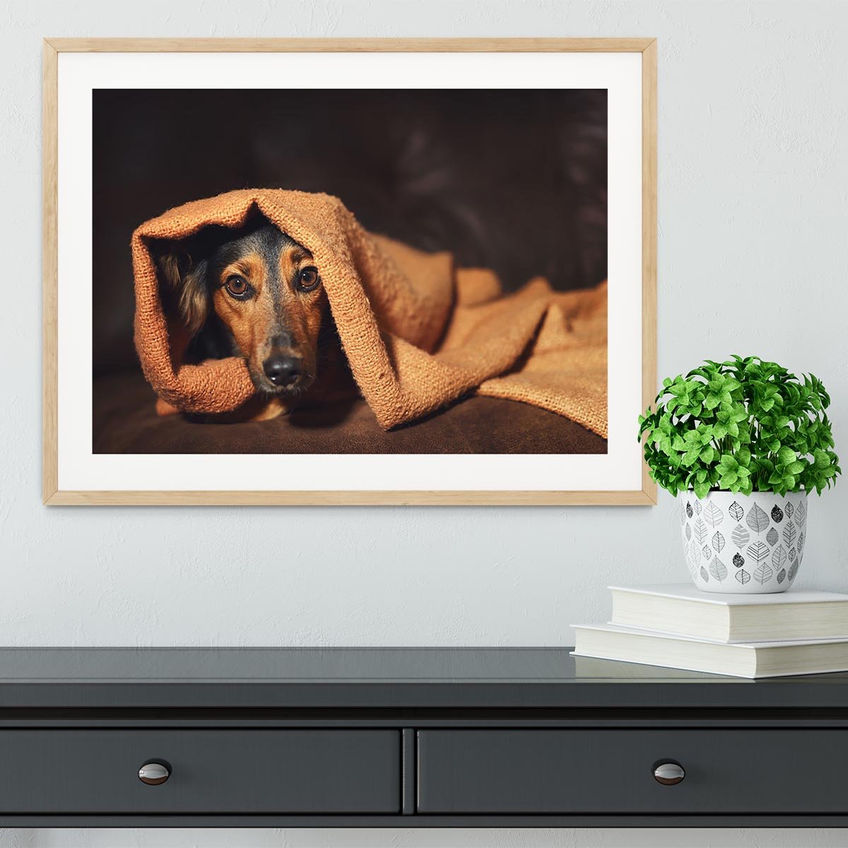 Small black and brown dog hiding under orange blanket Framed Print - Canvas Art Rocks - 3