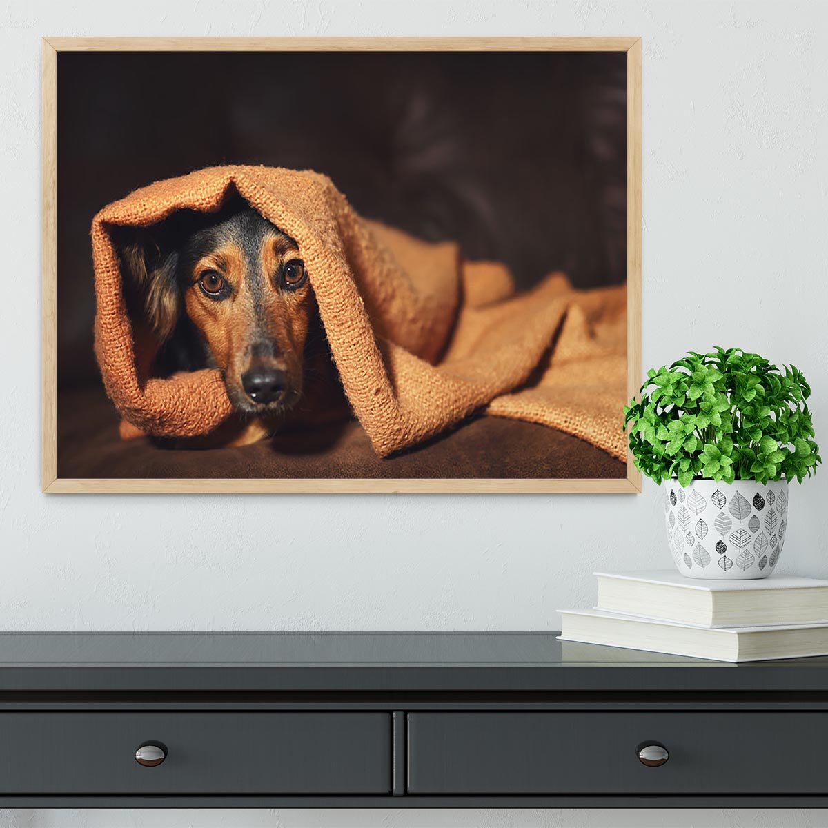 Small black and brown dog hiding under orange blanket Framed Print - Canvas Art Rocks - 4