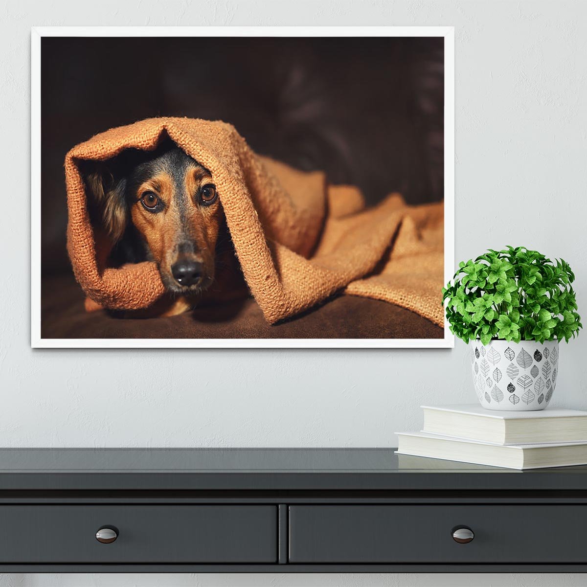 Small black and brown dog hiding under orange blanket Framed Print - Canvas Art Rocks -6