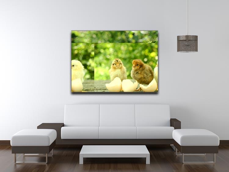 Small chicks and egg shells Canvas Print or Poster - Canvas Art Rocks - 4