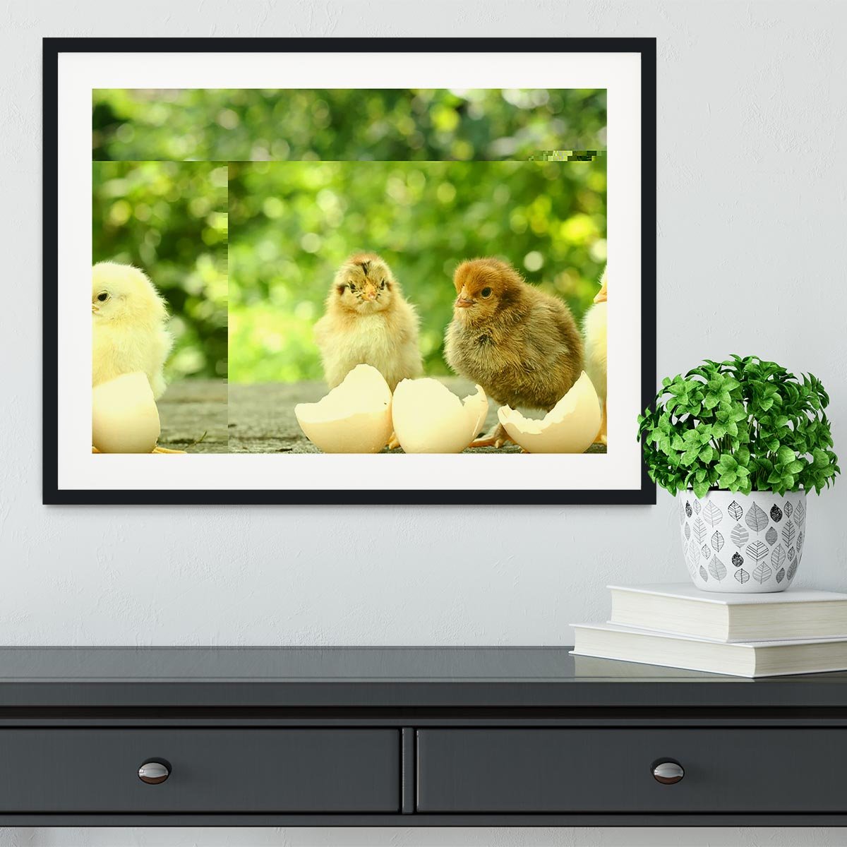 Small chicks and egg shells Framed Print - Canvas Art Rocks - 1