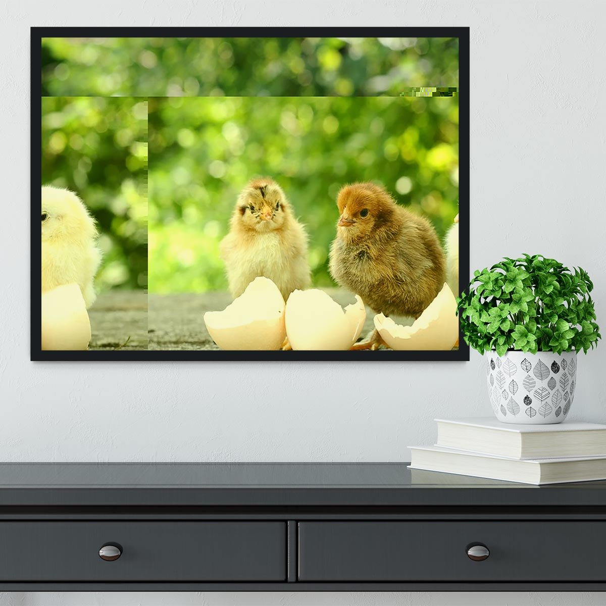 Small chicks and egg shells Framed Print - Canvas Art Rocks - 2