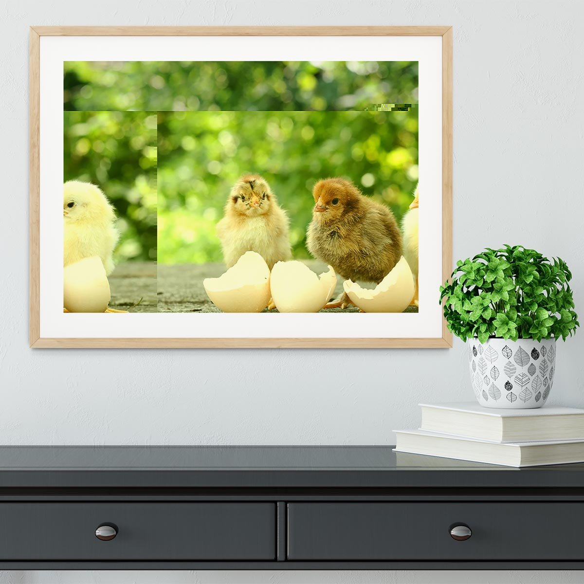 Small chicks and egg shells Framed Print - Canvas Art Rocks - 3