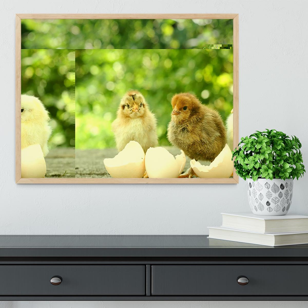 Small chicks and egg shells Framed Print - Canvas Art Rocks - 4