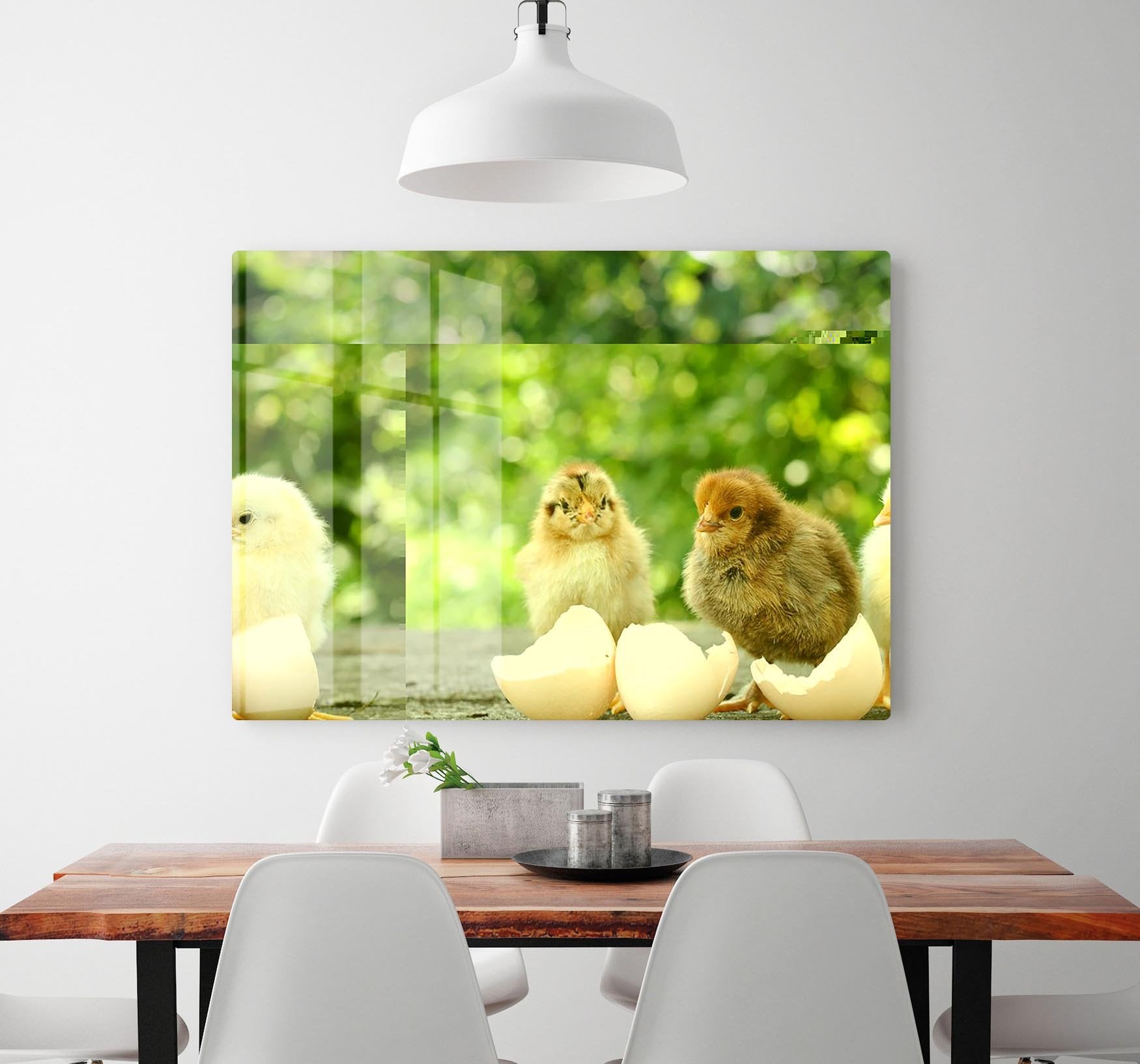 Small chicks and egg shells HD Metal Print - Canvas Art Rocks - 2