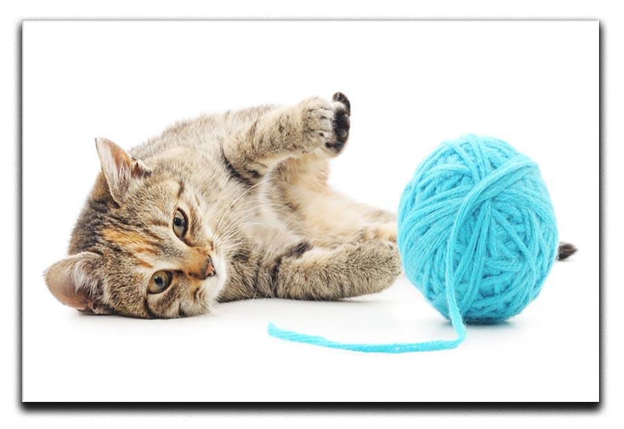 Small funny kitten and clew of thread Canvas Print or Poster - Canvas Art Rocks - 1