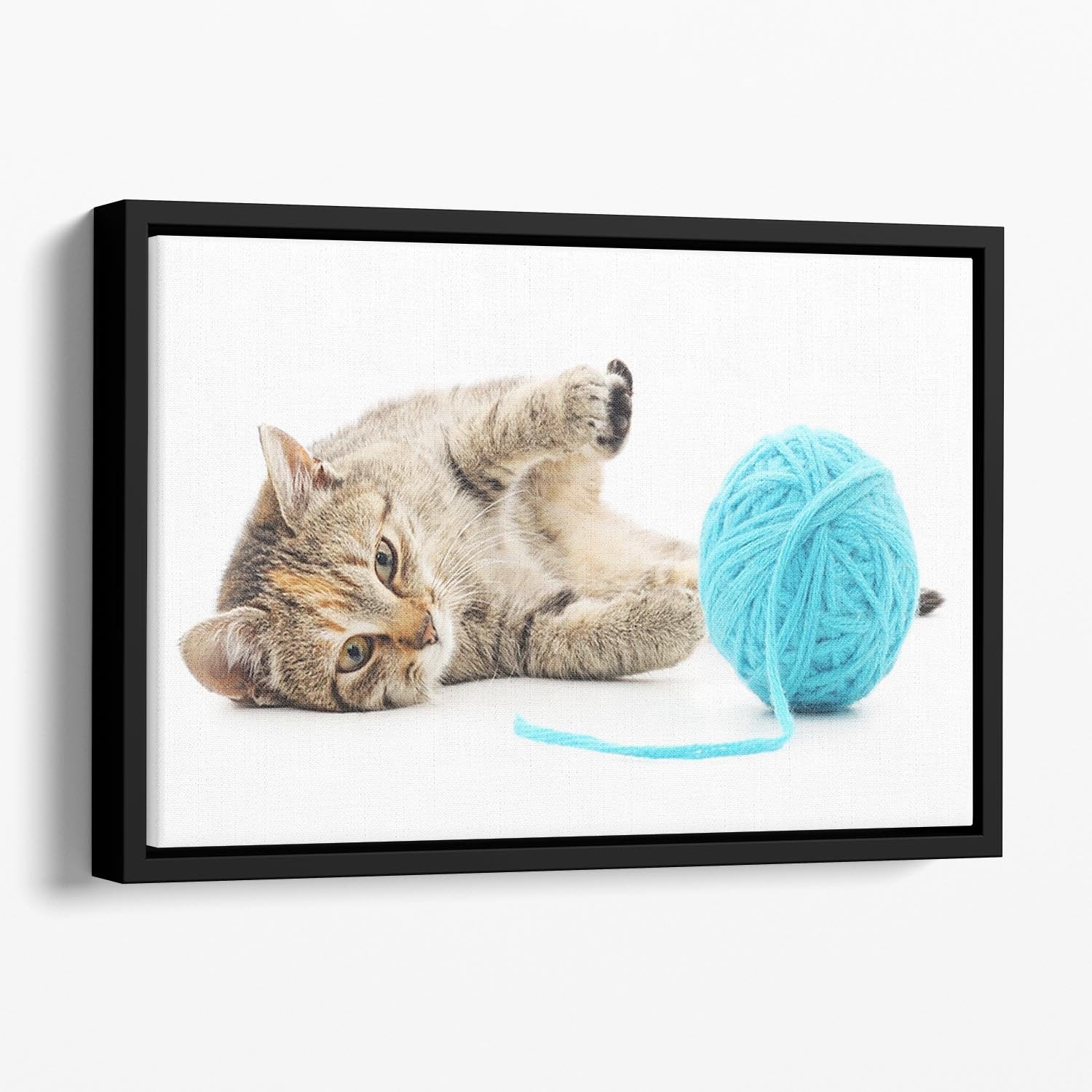 Small funny kitten and clew of thread Floating Framed Canvas - Canvas Art Rocks - 1