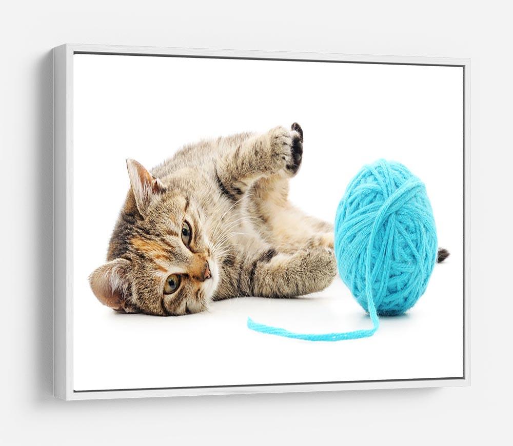 Small funny kitten and clew of thread HD Metal Print - Canvas Art Rocks - 7