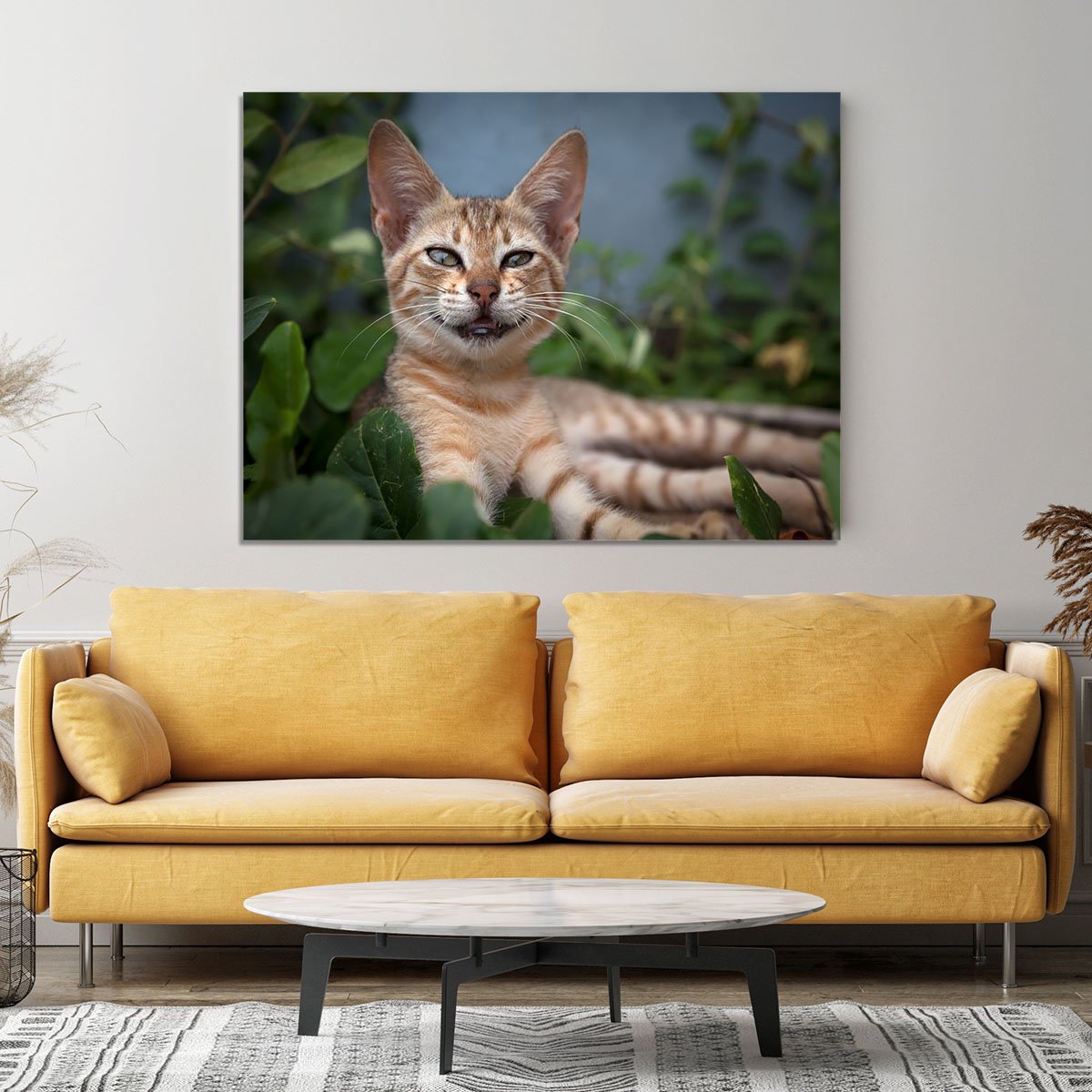Smiling Cat Canvas Print or Poster