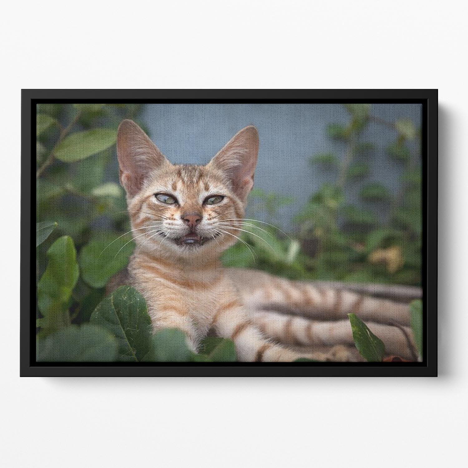 Smiling Cat Floating Framed Canvas - Canvas Art Rocks - 2