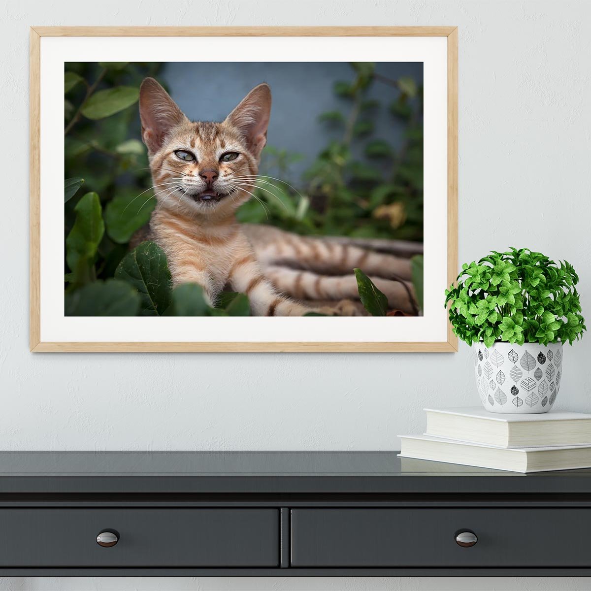 Smiling Cat Framed Print - Canvas Art Rocks - 3