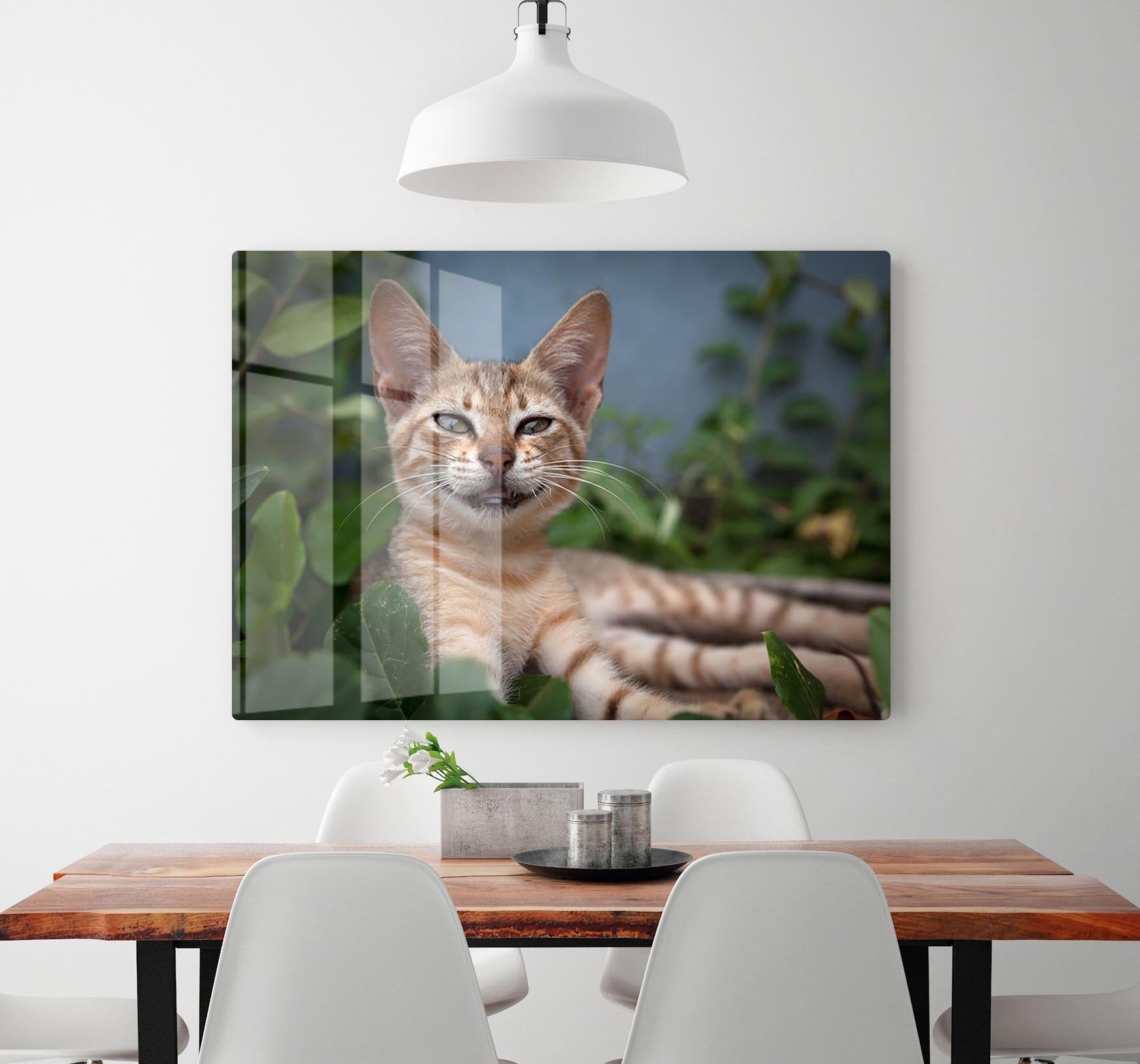Smiling Cat HD Metal Print - Canvas Art Rocks - 2