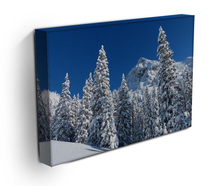 Snow Covered Trees Print - Canvas Art Rocks - 3