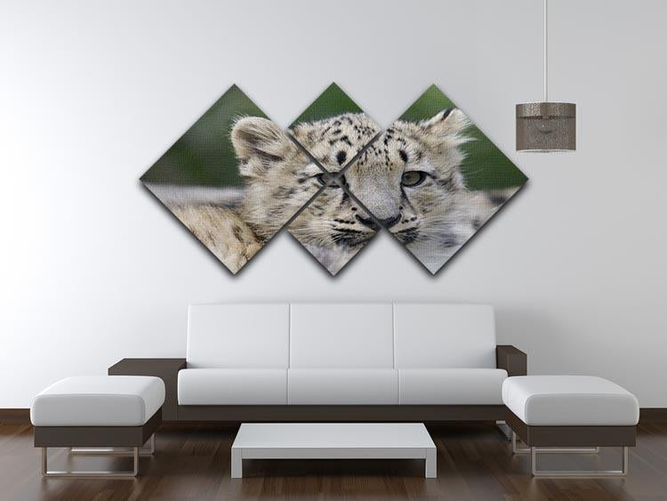 Snow Leopard cubs in the wild 4 Square Multi Panel Canvas - Canvas Art Rocks - 3