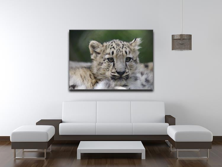 Snow Leopard cubs in the wild Canvas Print or Poster - Canvas Art Rocks - 4