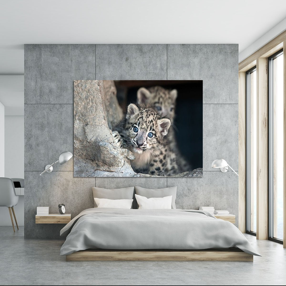 Snow leopard baby portrait Canvas Print or Poster